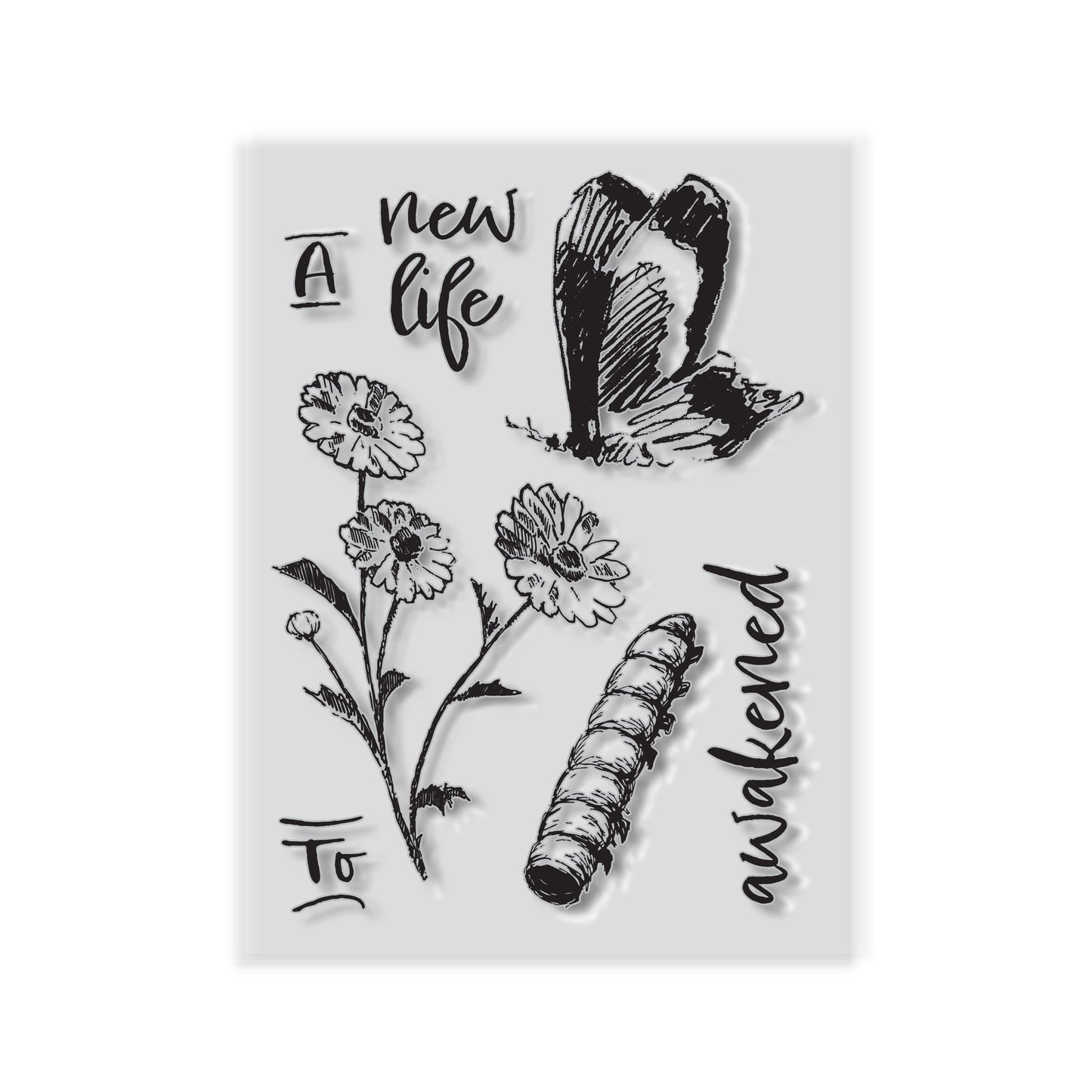 Enlightened Stamp Set