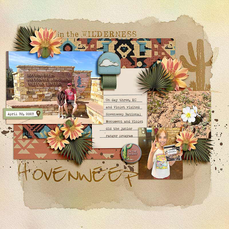 In The Desert Digital Kit