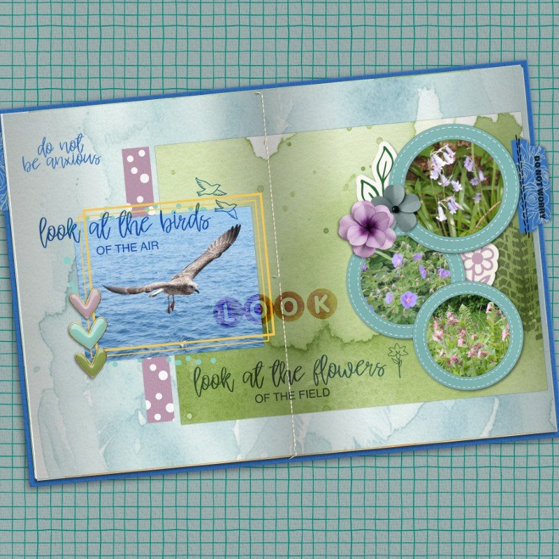 Flowers of the Field Words