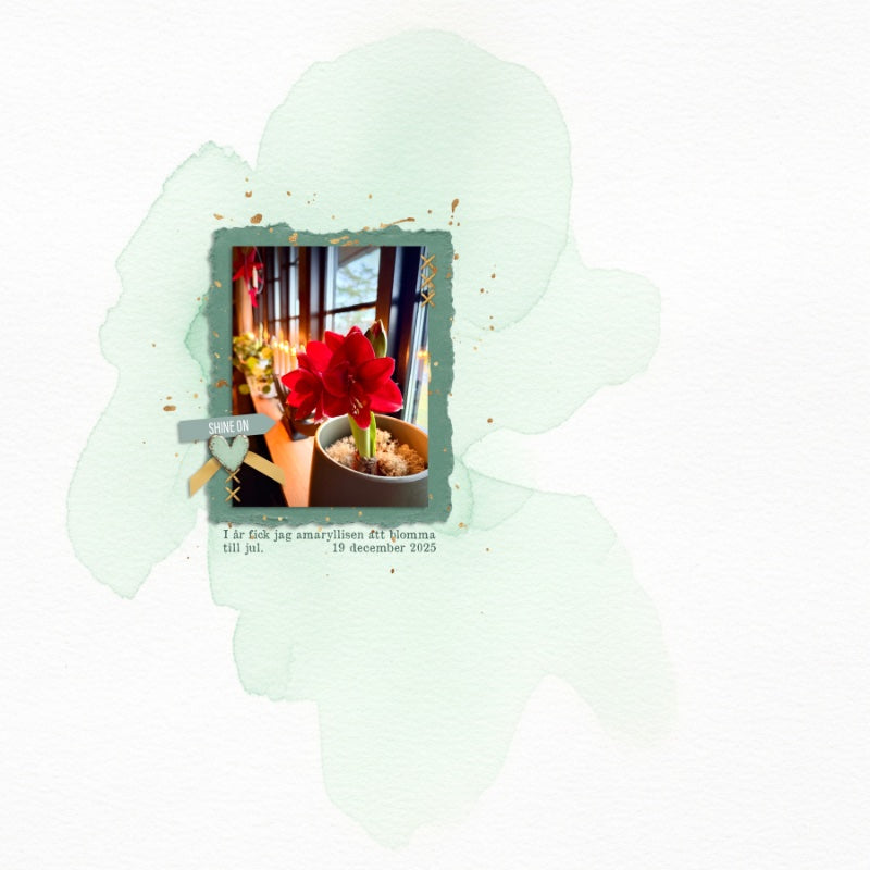 Still Burning Digital Kit