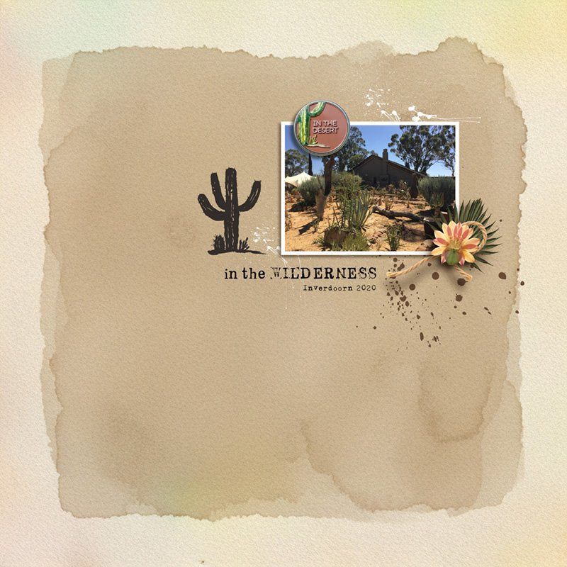 In The Desert Digital Kit