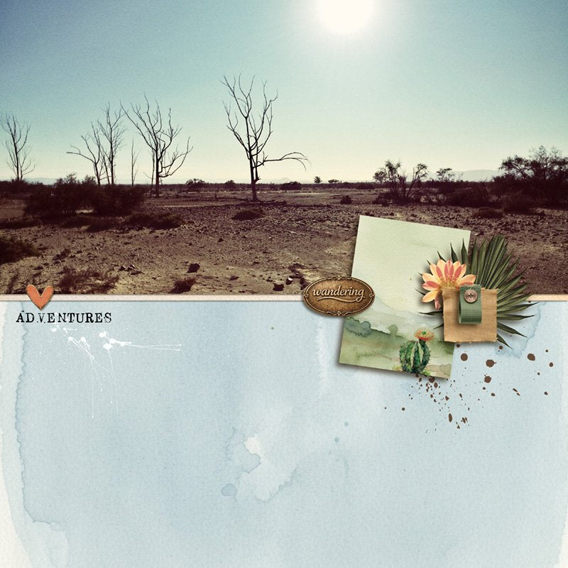 In The Desert Digital Kit
