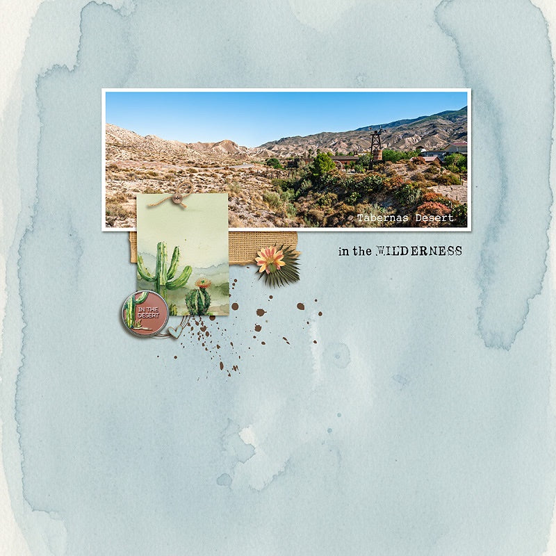 In The Desert Digital Kit