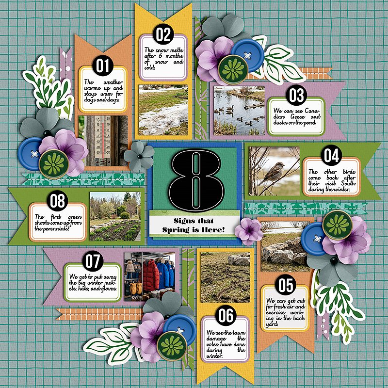 Flowers of the Field Digital Kit